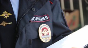 В Приютненском районе сотрудниками полиции задержана женщина подозреваемая в краже автомобильного музыкального оборудования и смарт часов